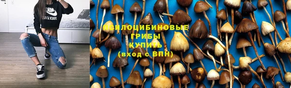 мет Балахна